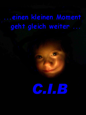 C.I.B.